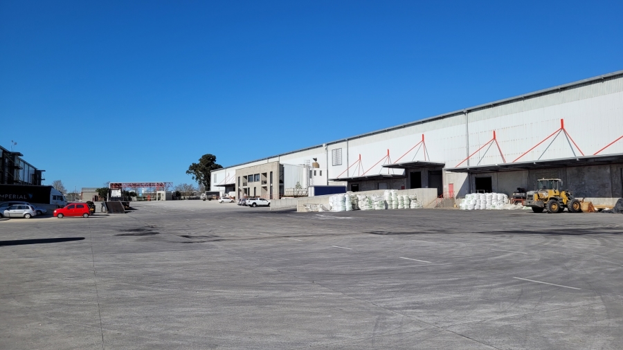 To Let commercial Property for Rent in Bellville South Western Cape